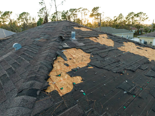 Professional Roofing Service in Franklin Park, IL
